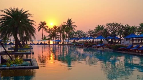 bed pool and umbrella around swimming pool with sunset or sunrise sky