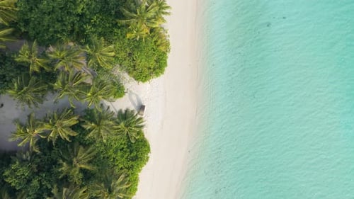 Aerial View of a Pristine Maldivian Beach with White Sand and Turquoise Waters
