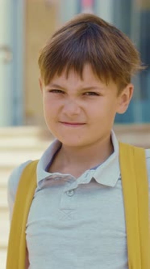 Happy Schoolboy Smiling at the Camera