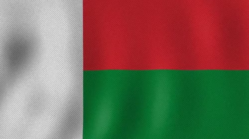 Waving Flag of Madagascar Loop Animation