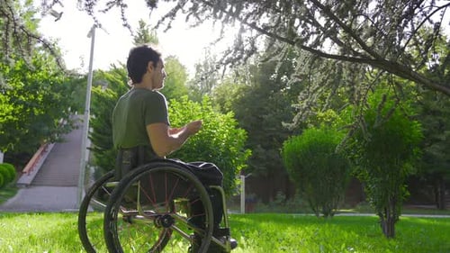 Young Man in Wheelchair Relaxing in Sunny Park