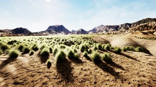 Desert Landscape in Crater National Park