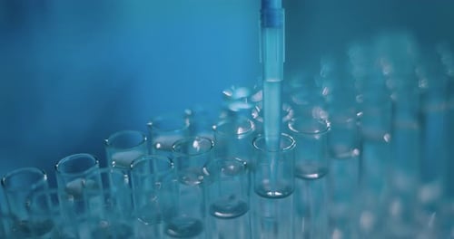 Lab Pipette Fills Test Tubes with Liquid