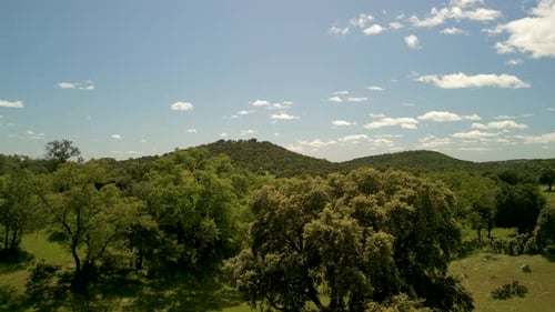 Flying Over A Natural Park In Madrid