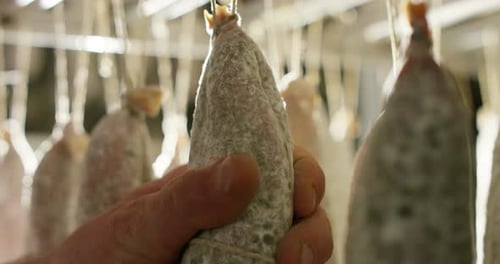 Hand Inspecting Dry Cured Hanging Sausages