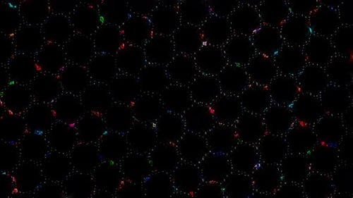 3D Abstrait, lignes lumineuses brillantes, ensemble de vagues, coloré, fond noir