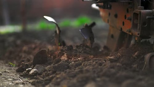 Home Farming