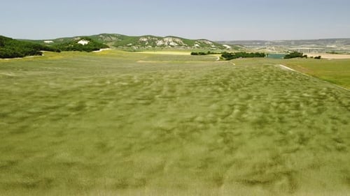 Aerial View on Green Wheat Field in Countryside