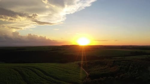 Sunset on sugar cane plantations
