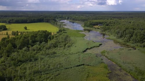 Drone flies sideways over a river that resembles a swamp. It is surrounded by lush greenery and open