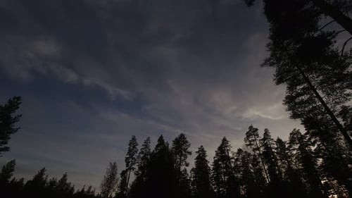 Dusk clouds drift across darkening sky as night falls in boreal forest