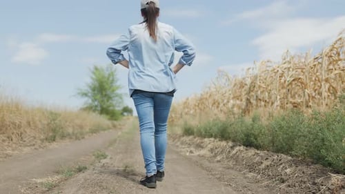 White Woman Farmer in a Baseball Cap Strolling on a Rural Path Amidst Corn Crops