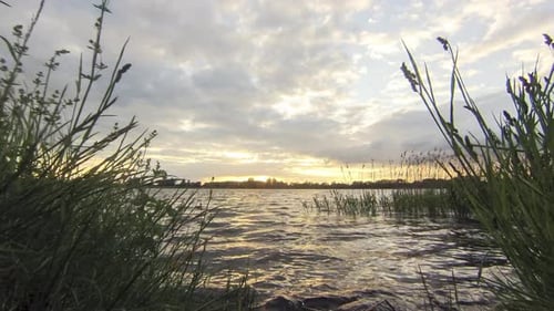 Zeitraffer eines Sonnenuntergangs mit Sonnenstrahlen über einem See, umrahmt von hohen Gräsern
