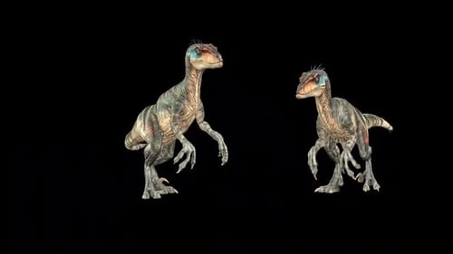 Wild Velociraptor Dinosaur