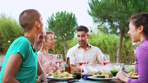 Friends Toasting with Wine During an Outdoor Meal