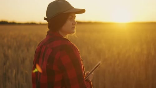 A Farmer with a Tablet Walks and Inspects a Wheat Field at Sunset