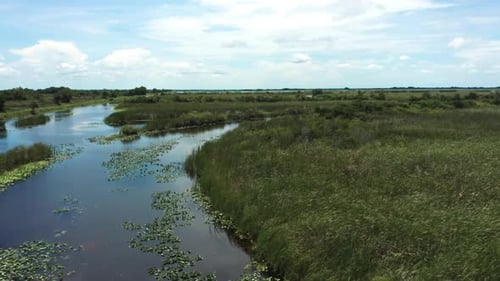 Florida Wetland flyover with great view of geometric patterns