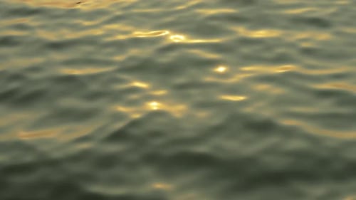 Golden Sunlight Reflecting on Gently Rippling Ocean Water