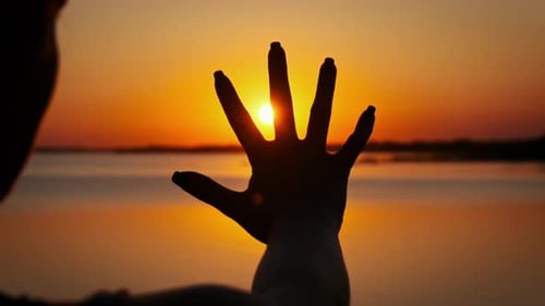 Silhouette Female Hand Stretches Out to the Sunset Slow Motion