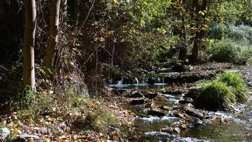 Stream in the forest in autumn. Dolly out mountain river aerial view. Pure and fresh water. Andalusi