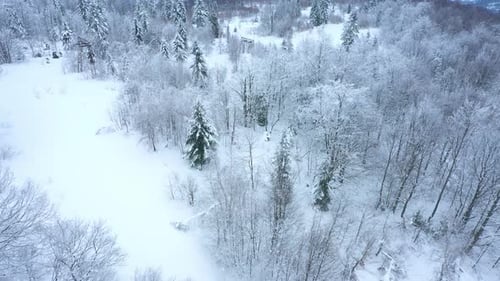 Mountains Hill In The Winter With Snow Covered Trees 13