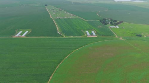 Aerial View of Expansive Green Farmland