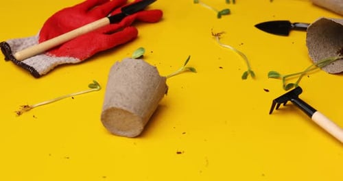 Rotation peat pots, gloves, gardening tools and greens