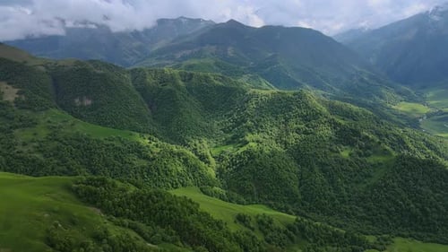 Predatory Bird Soars Over Aktoprak's Green Mountain Pass Majestic Sight Predatory Bird Untouched