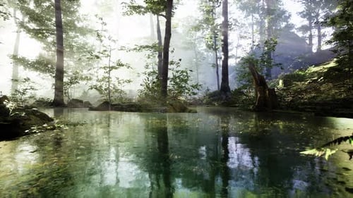 Misty Dawn Over Lake Forest