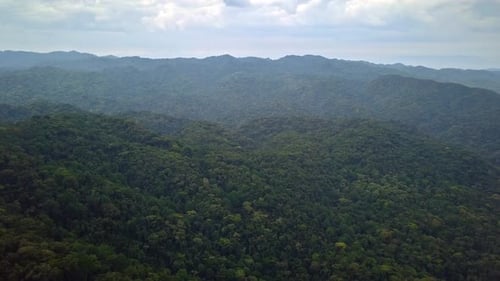 Bwindi Impenetrable rainforest canopy mountains Uganda aerial wide drone shot