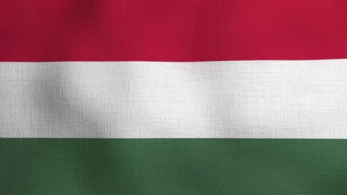 Realistic Waving Flag of Hungary with Fabric Texture