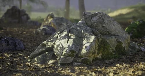 Natural Rock Formation Surrounded By Soft Light and Forest Foliage