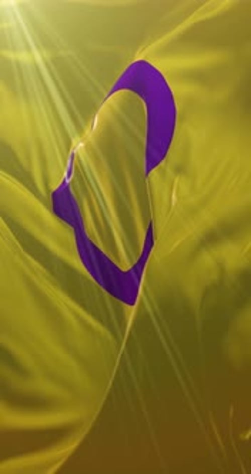 3D Waving Intersex Flag Animation