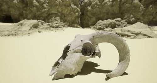 Desert Landscape Featuring a Detailed Ram Skull Resting on Sand