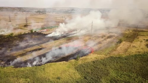 Luftaufnahme von brennendem Gras im Feld