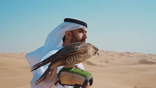 Falconer training his falcon bird in the desert of Dubai.