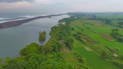 Aerial scenery of a lush tropical mangrove and green plantation fringing a pristine ocean coastline