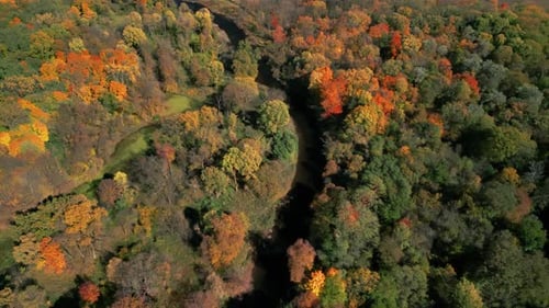 Colourful Aerial View of Forest at Autumn Over Colorful Fall Trees Top Down Shot