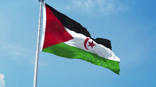 Realistic Western Sahara Flag Waving in the Wind
