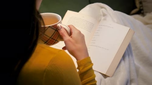 Woman drinking tea while reading a novel comfortably seating on a couch