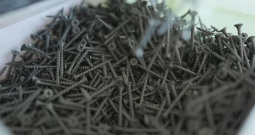 Vue rapprochée détaillée des différents types de vis nichées dans un contenant