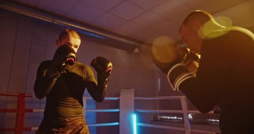 Intense Boxing Sparring Session Under Colorful Lights in the Ring