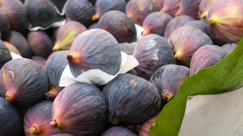 Find Fresh Delicious Figs in a Beautiful Market Basket Today Great for Culinary Uses
