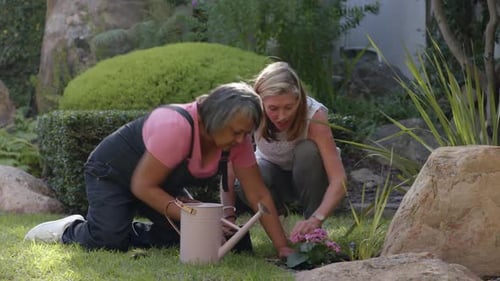 Women Gardening and Planting Flowers in Yard