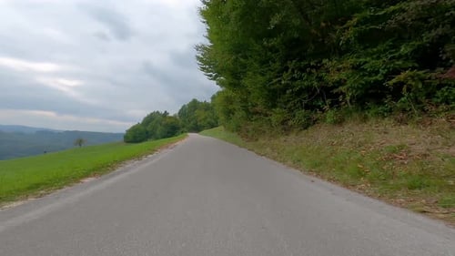 Driving on empty asphalt road through a mixed forest on a sunny autumn day.