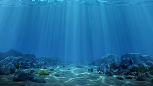 Environnement sous-marin : fond de l'océan
