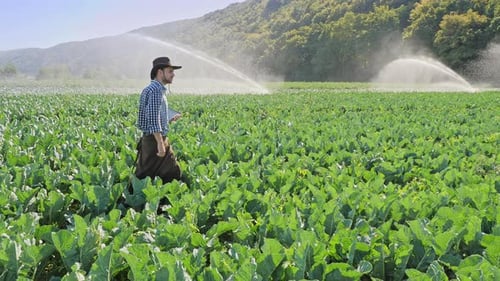 Farmer Using Digital Tablet During Monitoring His Plantation