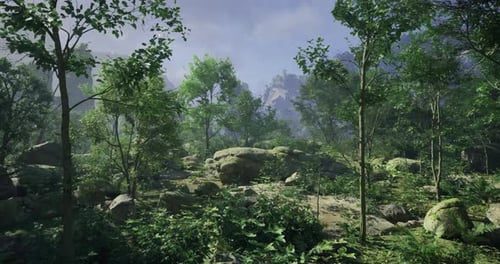 Lush Green Forest with Rocky Terrain Under a Bright Sky in Daytime