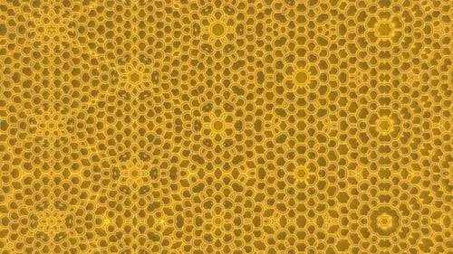Symmetrische gelbe, florale Mandala-Animation mit sanfter Leuchttiefe und eleganter Bewegung, die für ein erstklassiges Design sorgt