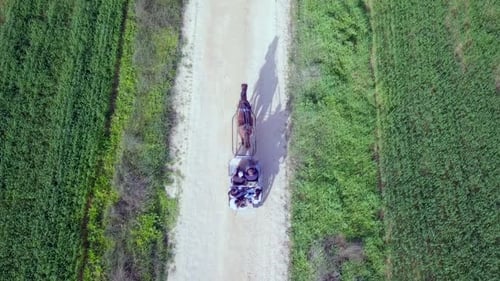 Horse Drawn Carriage Ride Through the Country